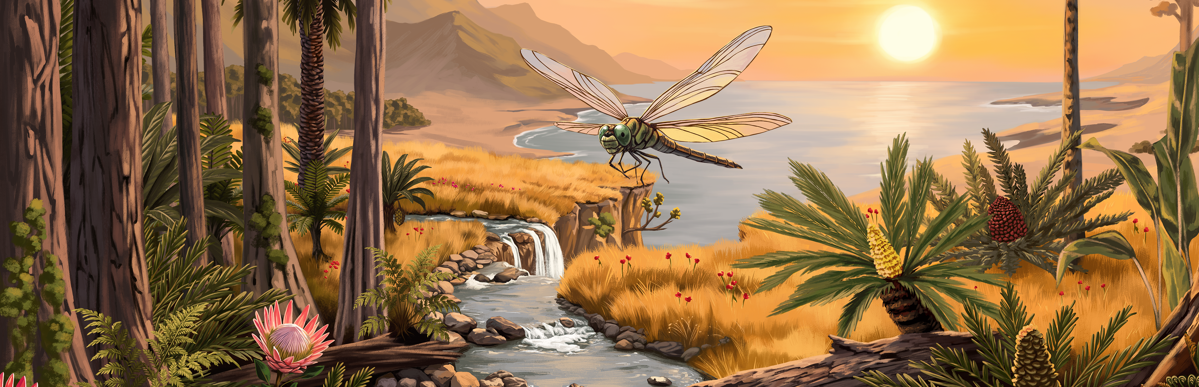 A lush primeval coastline at sunset