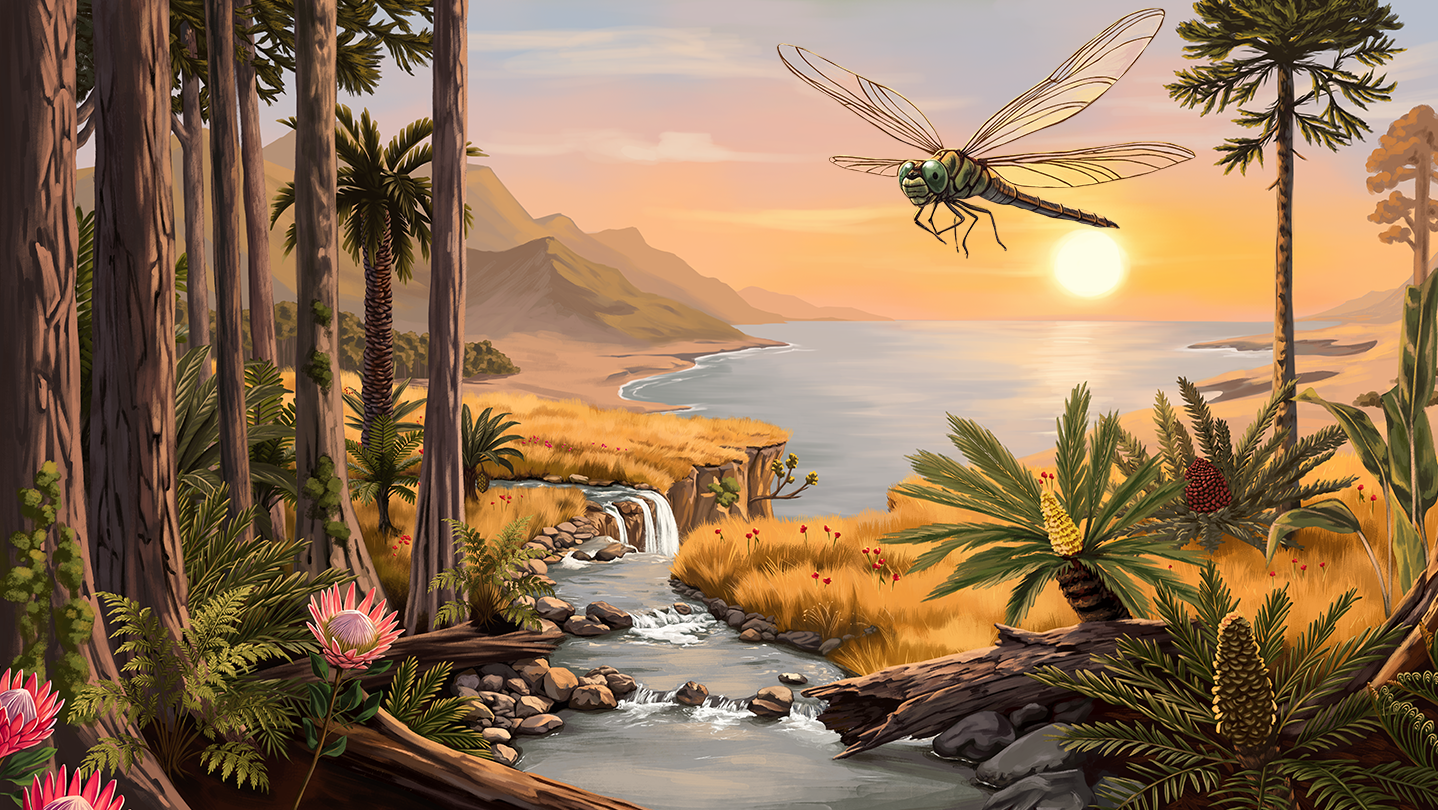 Ancient coastal forest at sunset with cycads, tree ferns and a giant dragonfly